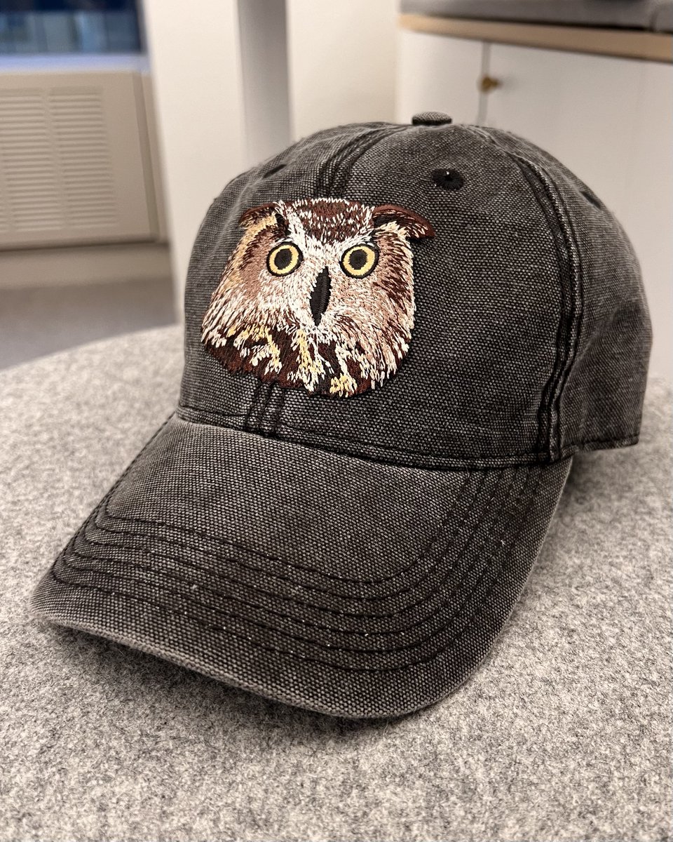 David Lei tweet media