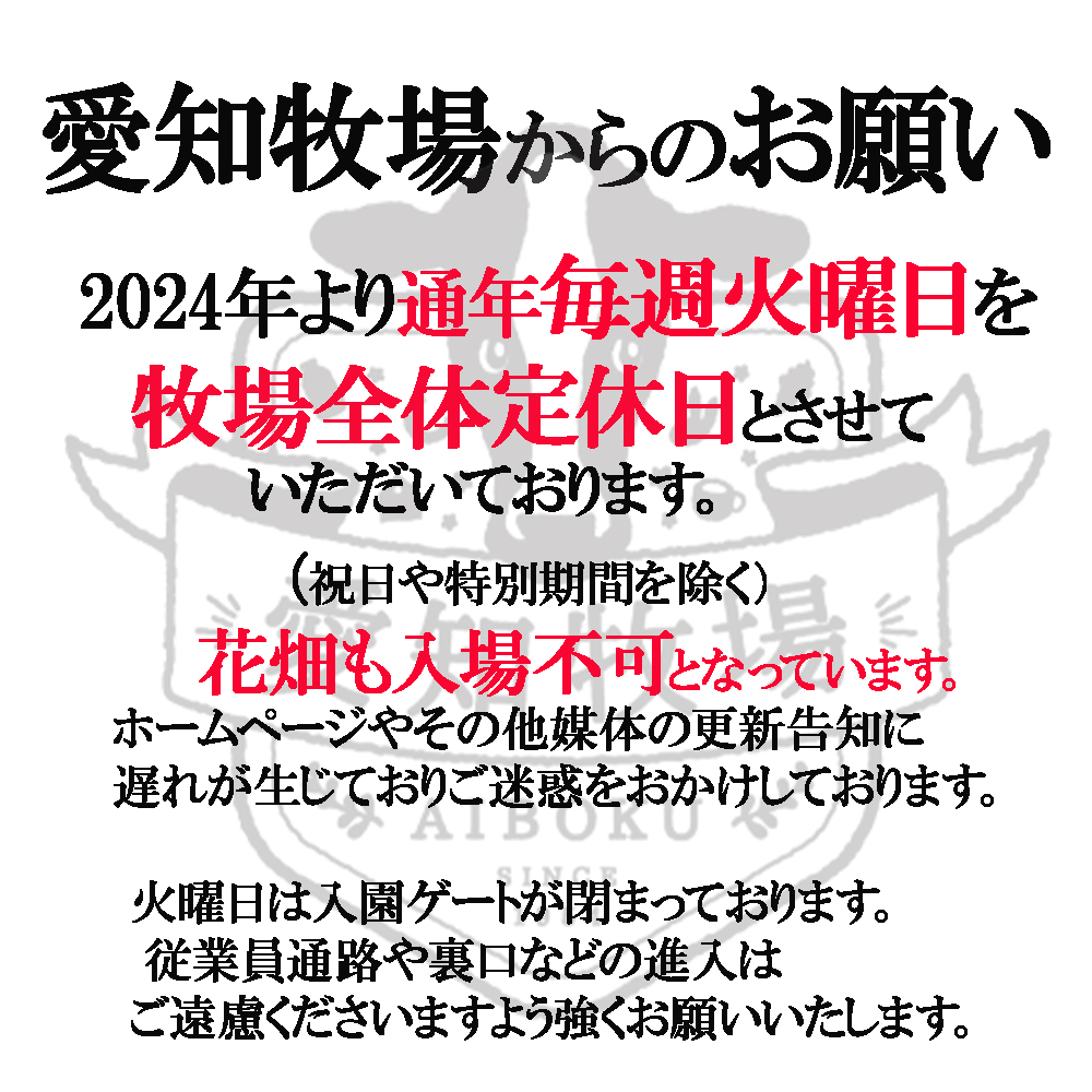 愛知牧場【公式】 tweet media