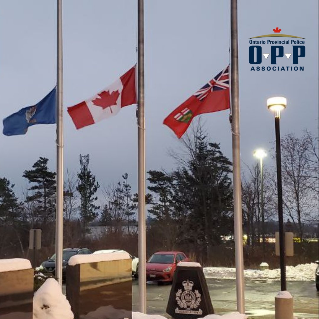 OPPA (OPP Association) tweet media