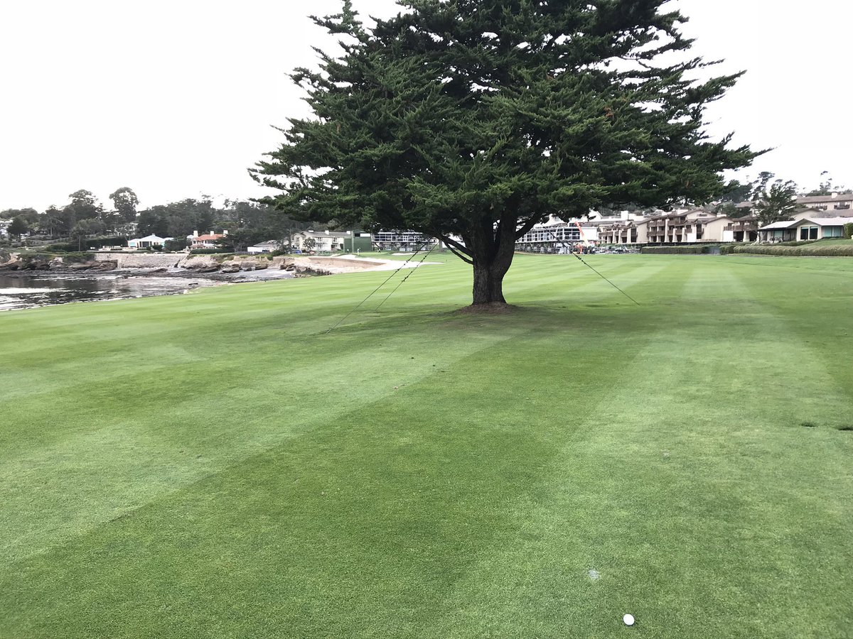 Strom_Bomb's tweet photo. @TaylorMadeGolf Ooof.  Been there.  Not fun. https://t.co/UVX47k8iXy