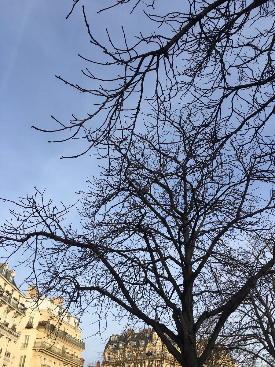Poème bref –
l’odeur du saké chaud,
ciel clair, lumières 
dans les caves et
vin moelleux :

les choses me frôlent
en rails intérieurs,
j’ai besoin du silence
pour les nommer,
atteindre
leur vérité.

Cela fait
beaucoup d’années
que je suis en quête
du moyen juste
d’être au monde.