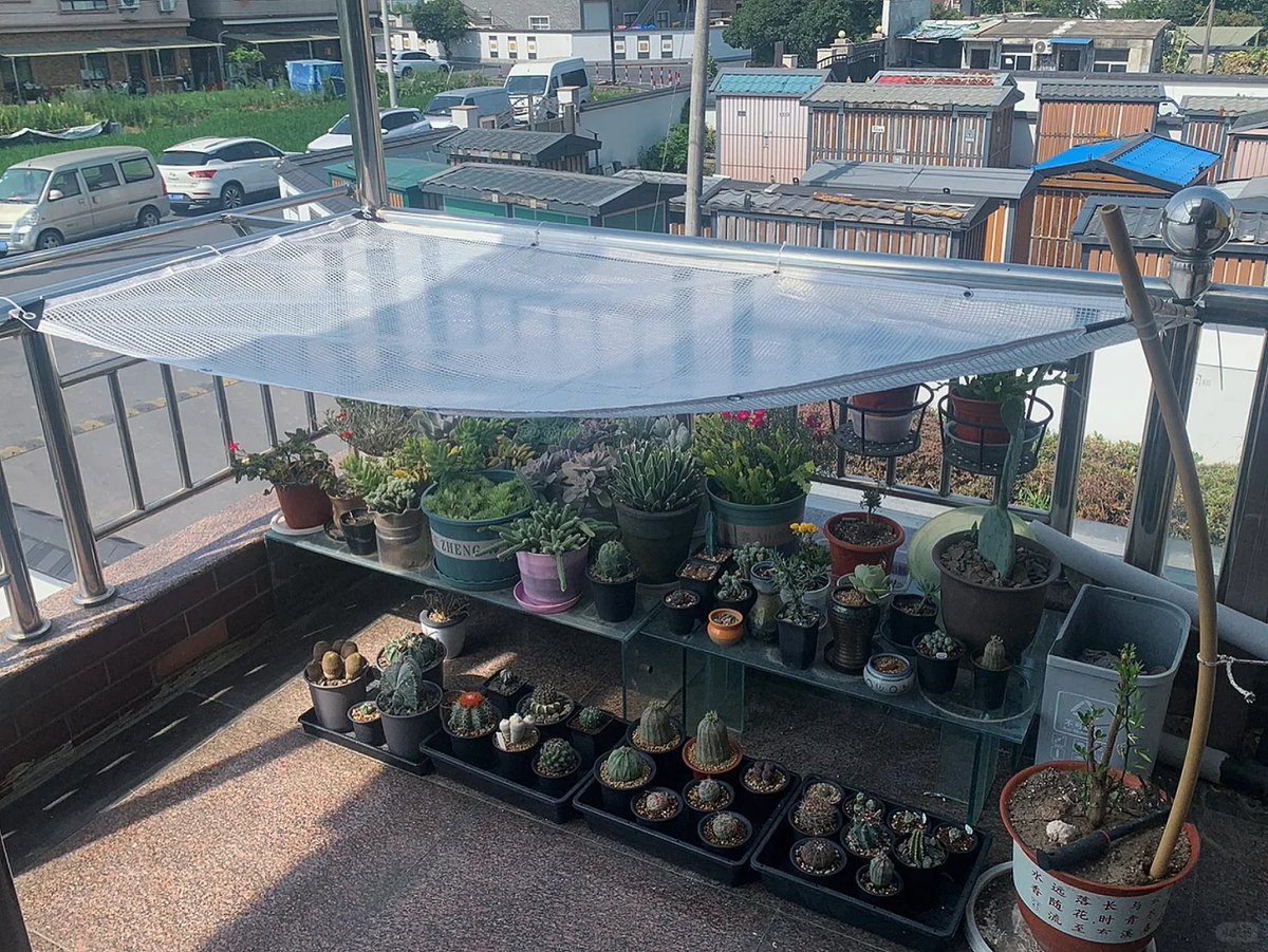 A cozy place for my plants. Sunshine is good for both you and the little friend on your garden📷

#gardendesignideas #terrace #plants #cozylife #sunlight #diyhome #succulents #balconyview #plantslover #balconyplants #succulentslover #outdoors #gardenbeauty #StayCozy