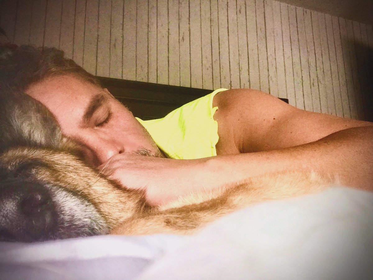 maroponce's tweet photo. #SleepTide #GermanShepherd https://t.co/dqnYhzzrGt