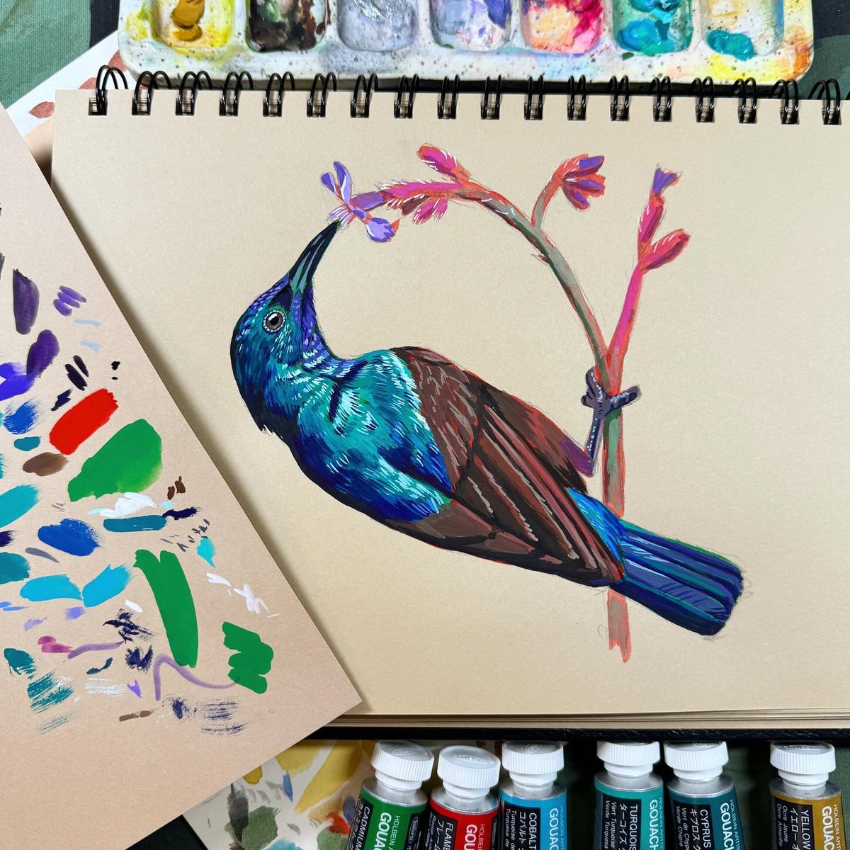 the Palestine Sunbird 🇵🇸 #FreePalestine