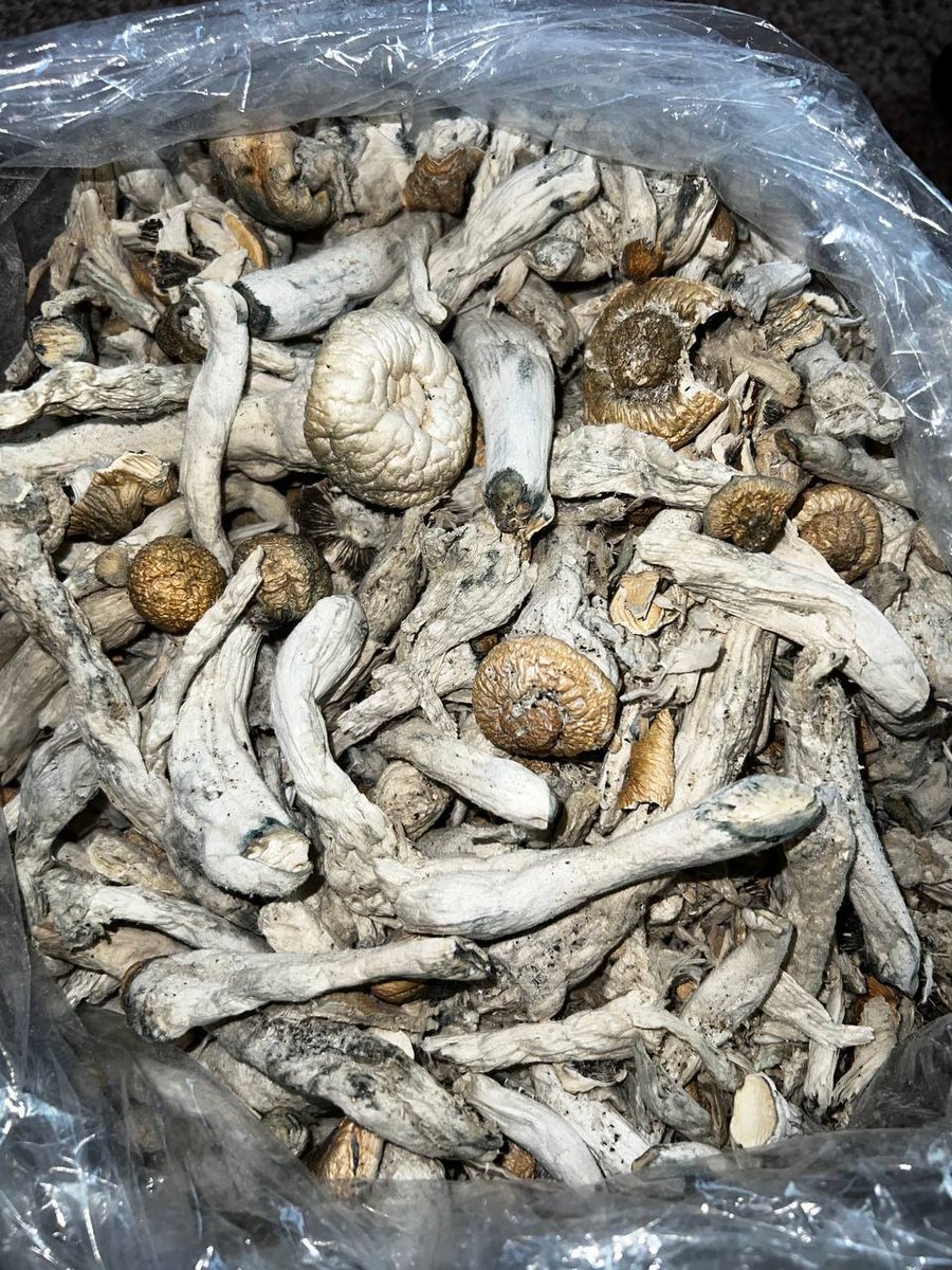 Jame Helman (@jameh39740) on Twitter photo 