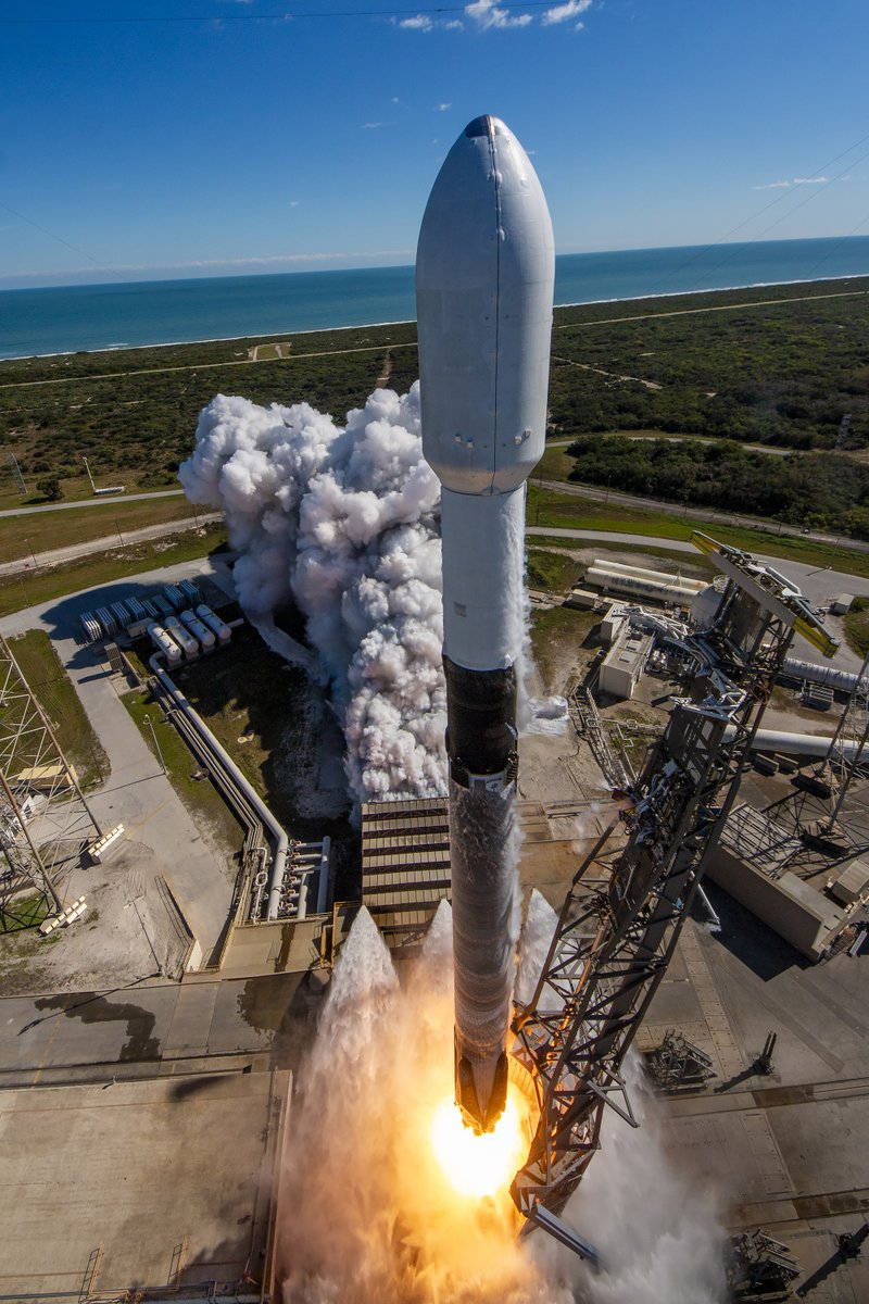 zack ackerman tweet media