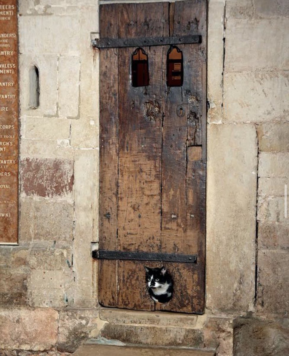 This door in Exeter Cathedral dates back to the 14th century - and likely features the oldest 'cat flap' in the UK, if not the world