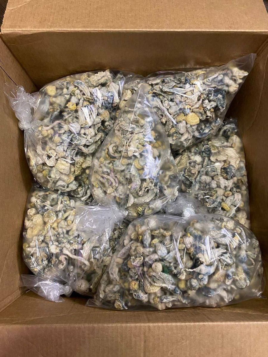 Buy mushrooms with me