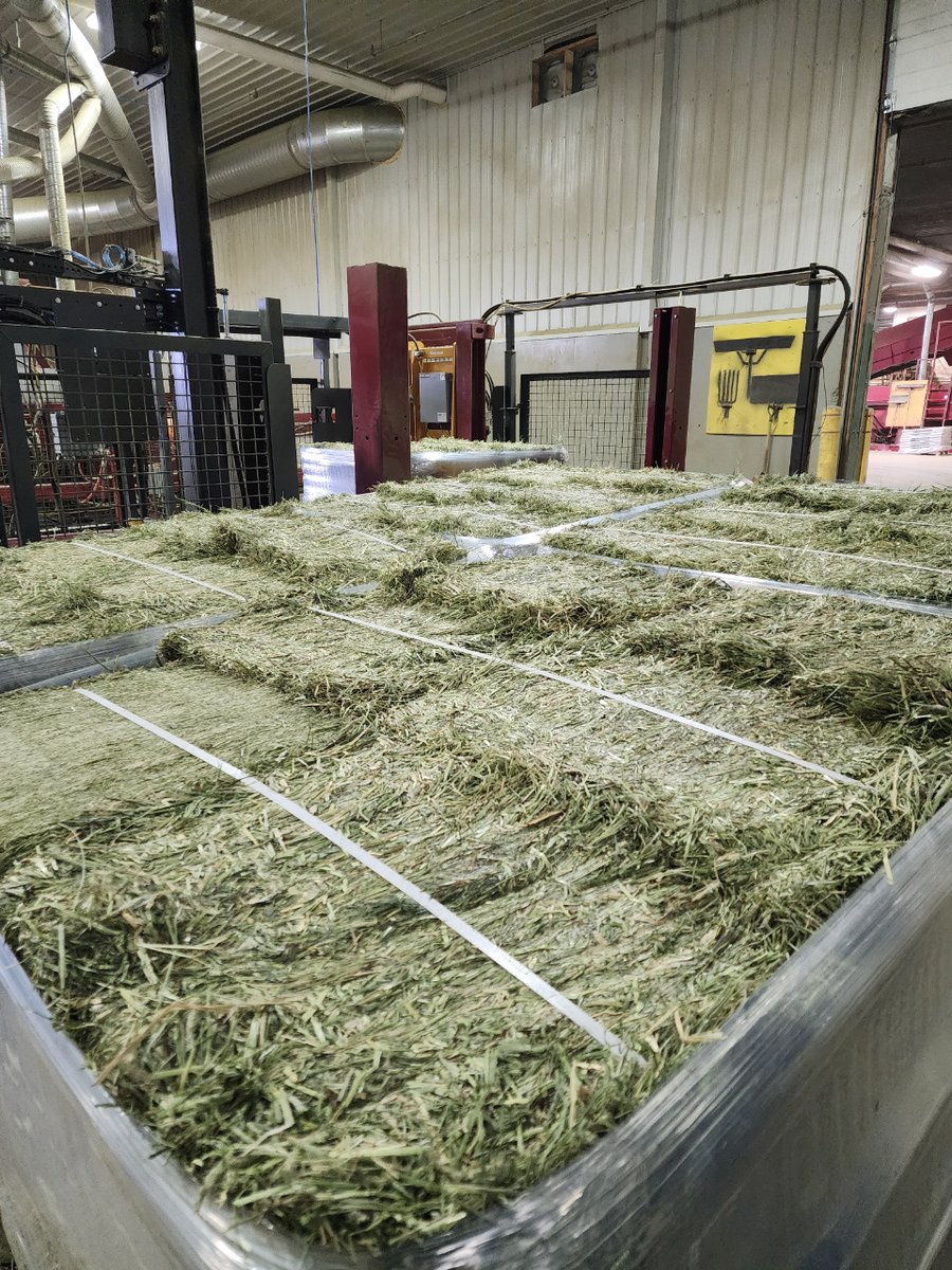 Green Prairie International Inc. tweet media