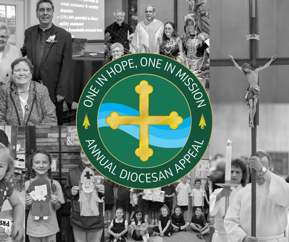 Check out our new Appeal page! doy.org/appeal/