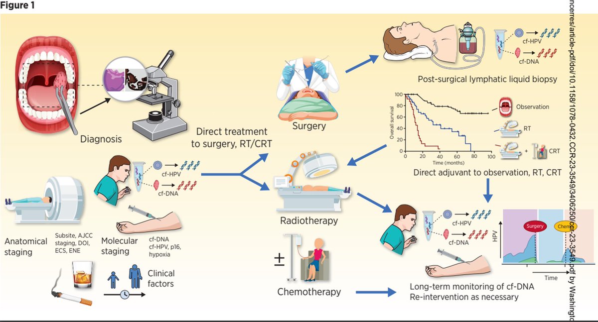 Noah Earland (@earlandnoah) on Twitter photo Love this comprehensive figure illustrating the (not too distant) future of personalized head and neck cancer treatment, guided by plasma/saliva/surgical lymphatic fluid cfDNA analysis, in addition to clinical factors. Thanks for the shoutout <a href="/CCR_AACR/">Clinical Cancer Research</a> ! Love this comprehensive figure illustrating the (not too distant) future of personalized head and neck cancer treatment, guided by plasma/saliva/surgical lymphatic fluid cfDNA analysis, in addition to clinical factors. Thanks for the shoutout <a href="/CCR_AACR/">Clinical Cancer Research</a> !