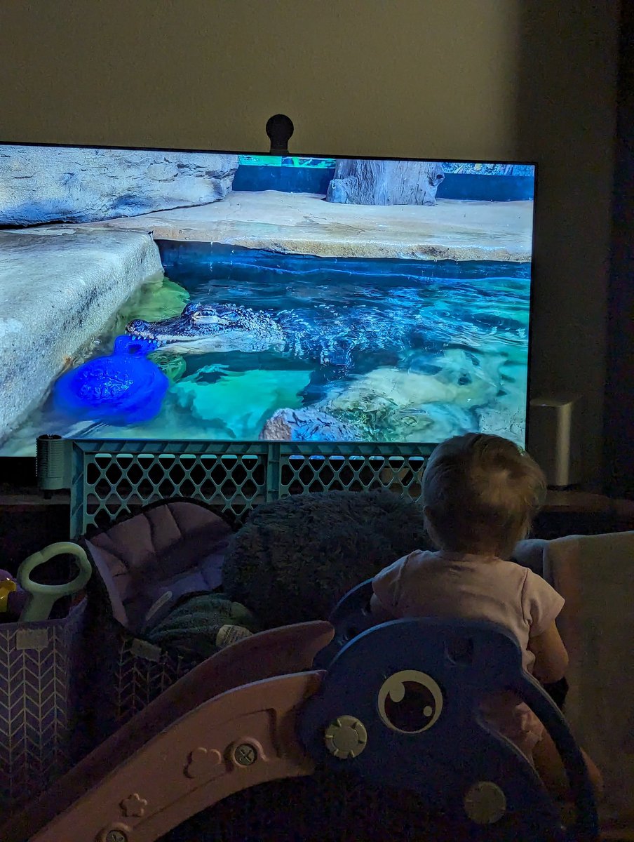 Teaching her young. Lol she loves watching y'all. @SnakeDiscovery