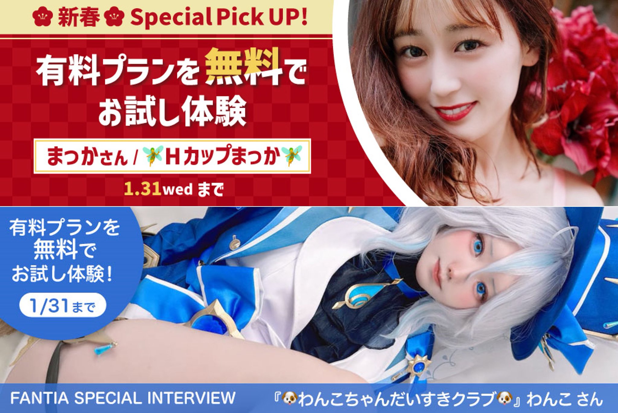 わんこちゃん