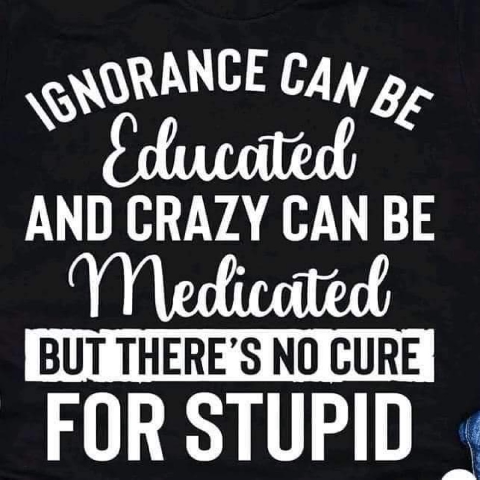 @DanoDJ @john_lewis54 @IMMusicMedia @HallVol2022 @naretevduorp Unfortunately, you can't fix stupid. No matter how many times you explain it, they won't get it!