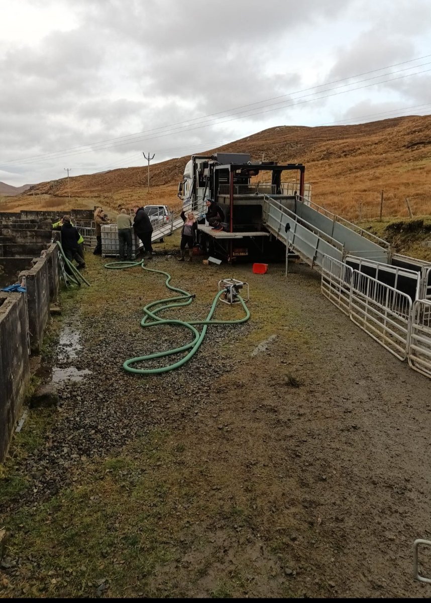 NeilFell2's tweet photo. Just a few jobs we have been to this last few weeks https://t.co/0nFpfSU0vt
