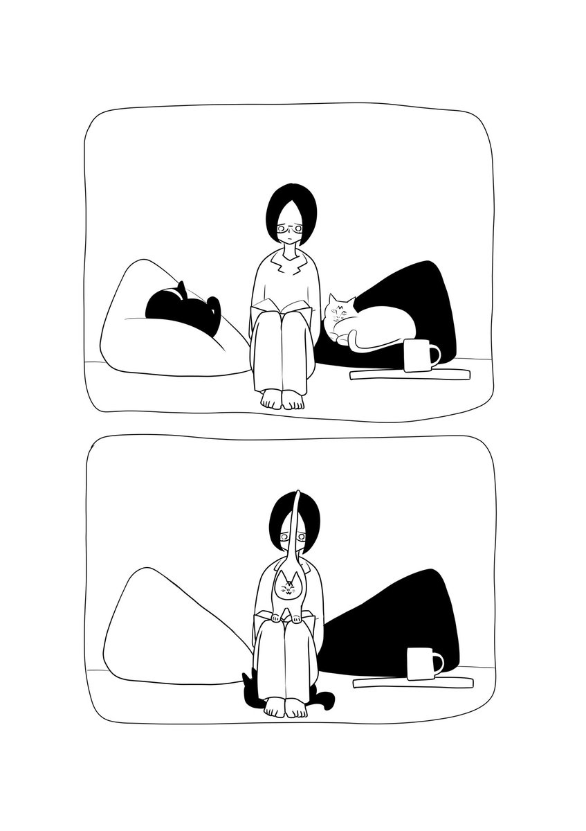 ねこ、本読ませてくれ