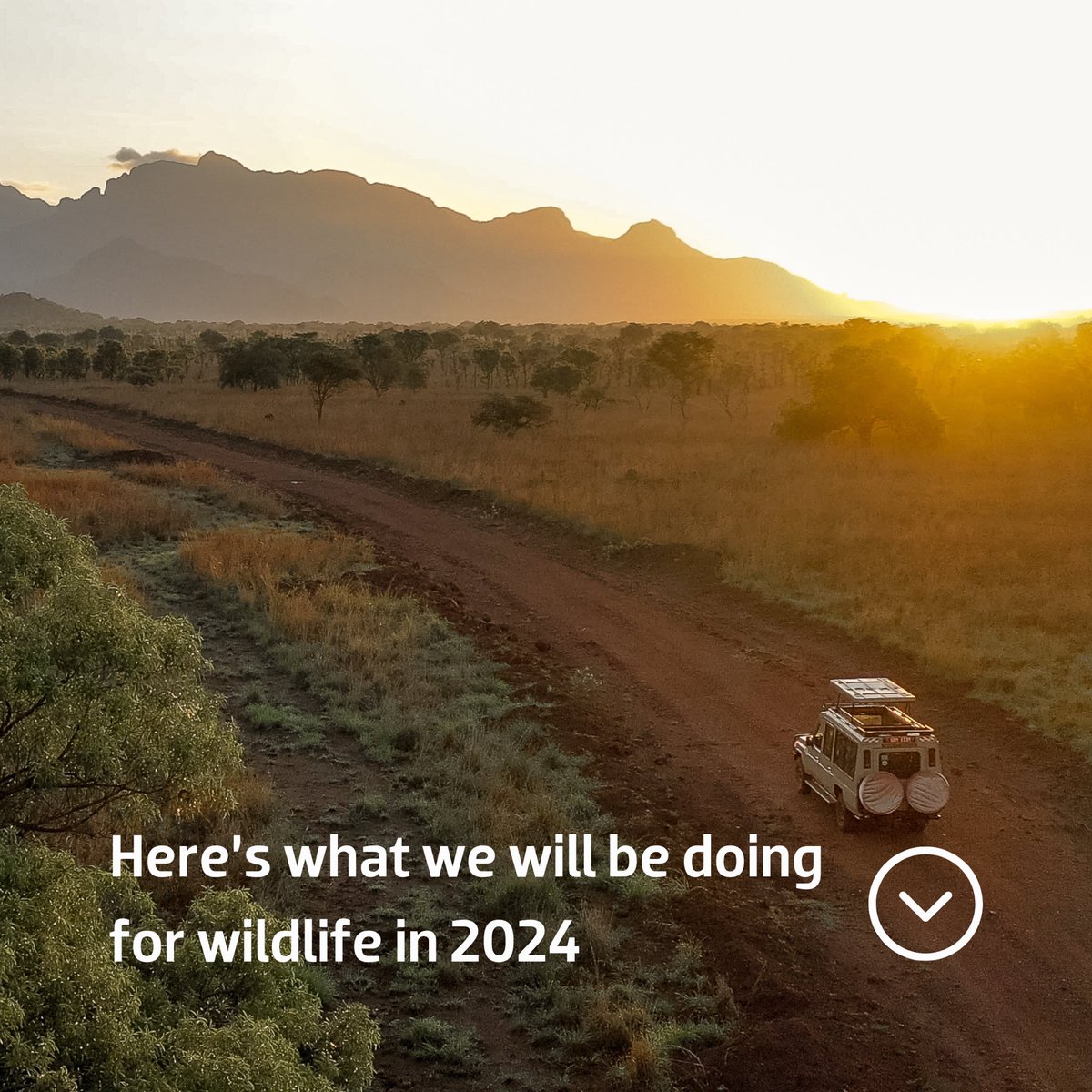 Uganda Wildlife Authority tweet media
