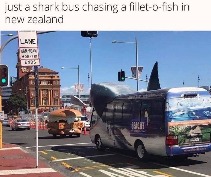 imgur's tweet photo. Nature truly is beautiful 🏞️ https://t.co/gokS1O8zXT https://t.co/jPBc8jeneE