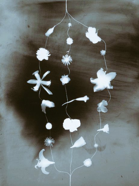 #WOMENSART tweet media