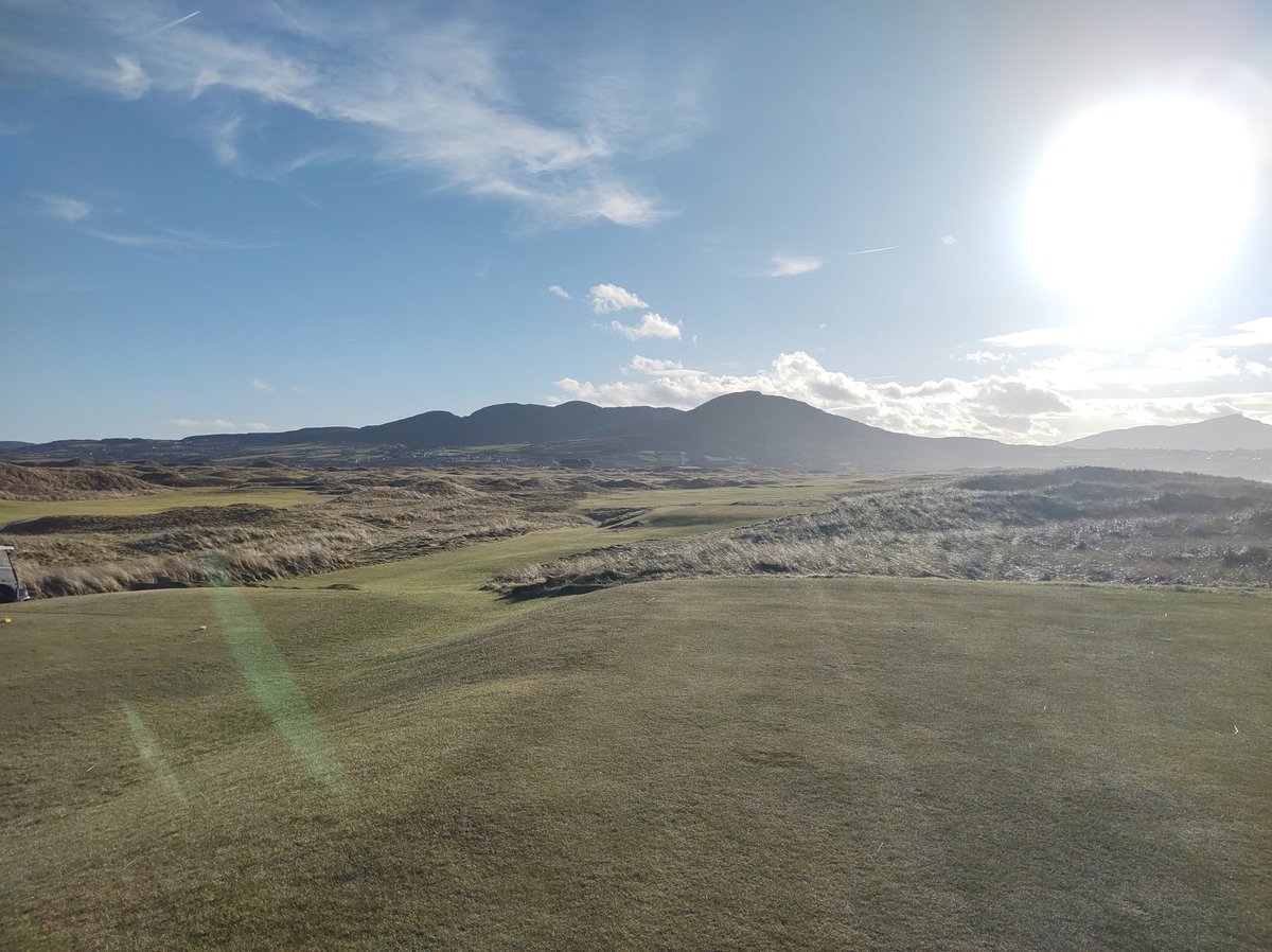 Dennis McC tweet media