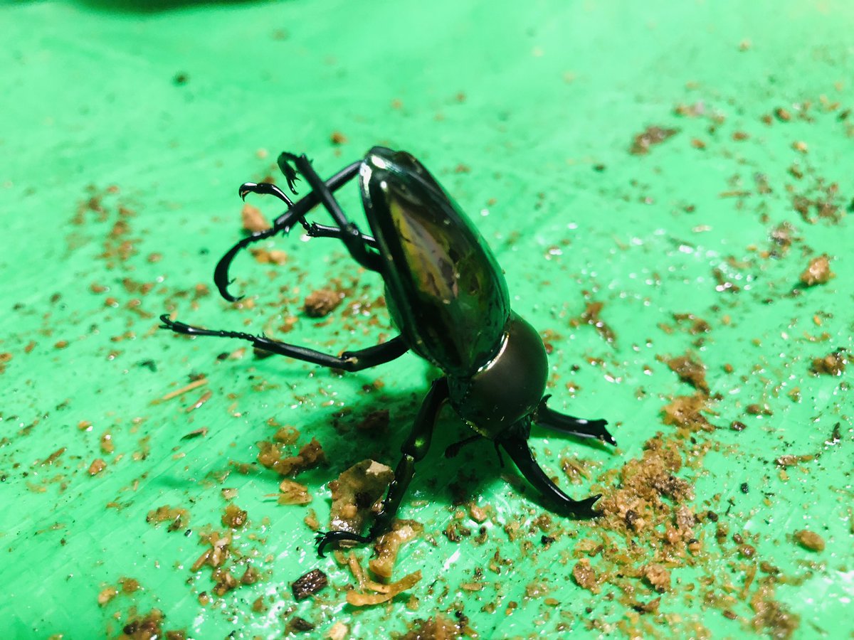 ニジイロさん

怒ってらっしゃいます。