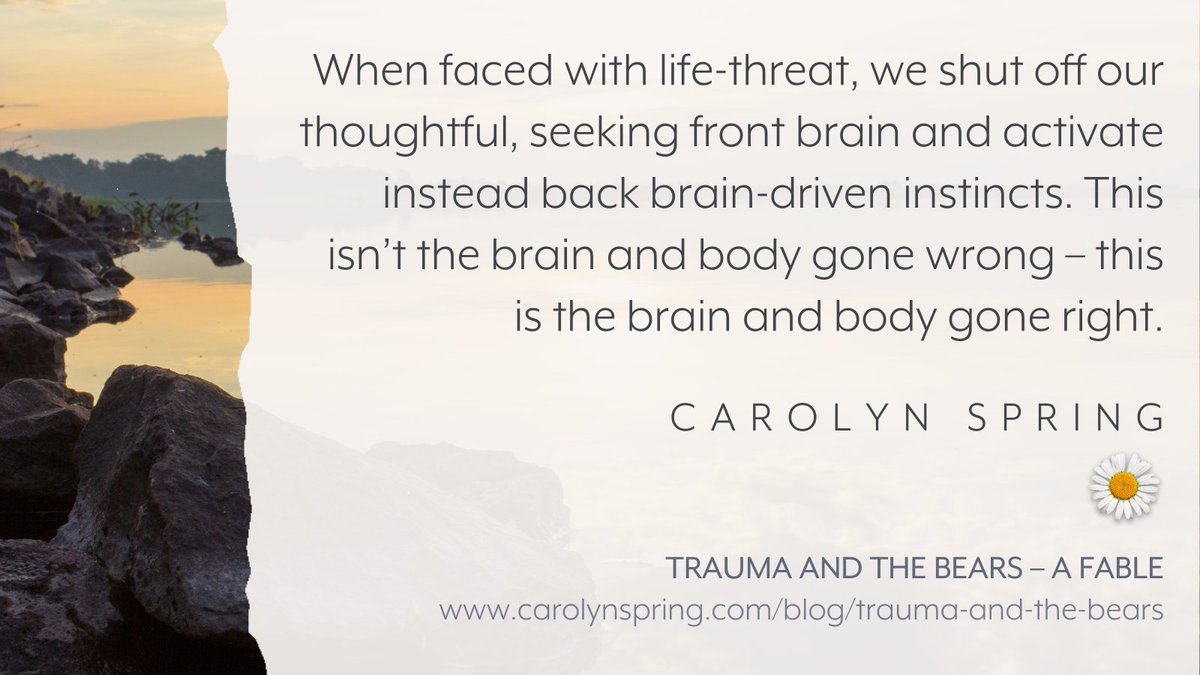 It's so easy to pathologise – to think there's something wrong with our brain when it behaves 'differently'. But during and after #trauma our brain does exactly what it's evolved to do, which is geared around keeping us safe. Read more: carolynspring.com/blog/trauma-an…
#TherapistsConnect