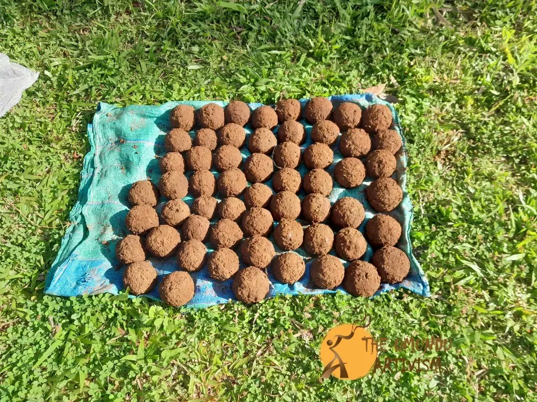umunduartivism's tweet photo. One of our latest climate-smart initiatives as The Umundu Artivism has been the production of energy-saving charcoal from mud. Burns longer minimizing the need for alot of charcoal when preparing a meal.
#ClimateChange #ClimateAction #EnergyEfficiency #ArtForClimate https://t.co/CqL5niiEQG