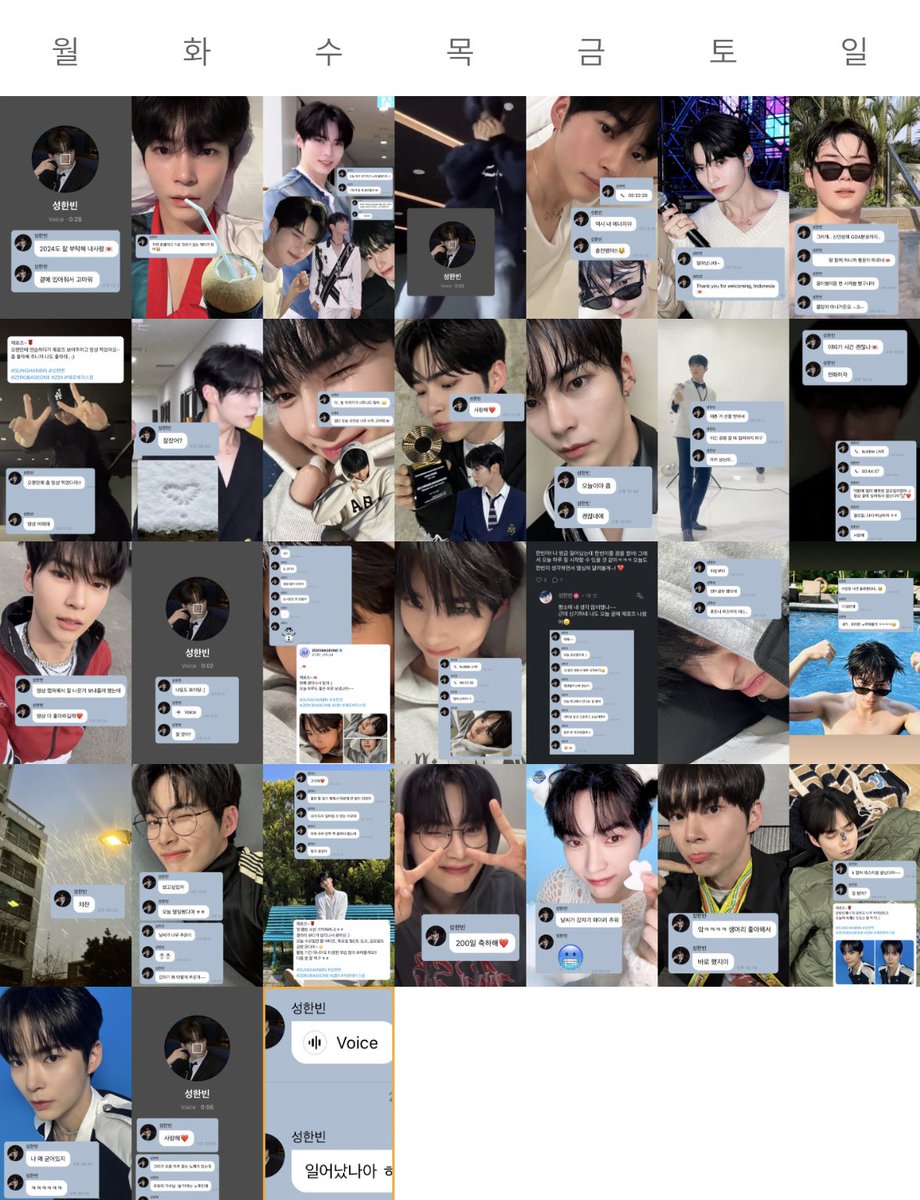 #햄블냥블 성한빈덕분에공백기인줄도몰랏던1월정산^^버블+셀카에버블라이브에인스타라방,멤트,엠플까지모조리출석하는 효자햄냥이..🫳🏻🐹