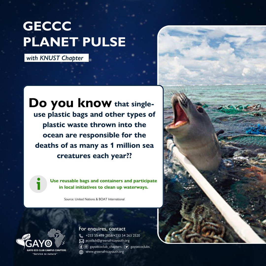 Every plastic bag discarded in the ocean can be a lethal trap for marine life. Let’s choose to refuse single-use plastic and protect our precious marine world.

#planetpulse #oceanconservation #protectmarinelife #saynotosingleuseplastic