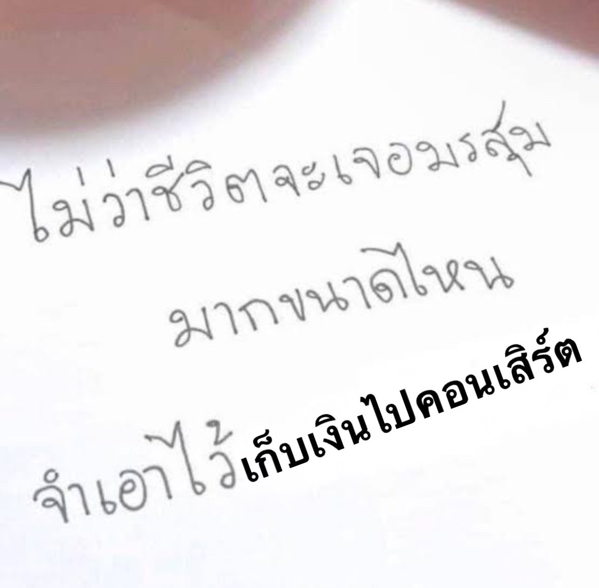 ลอปอ. tweet media