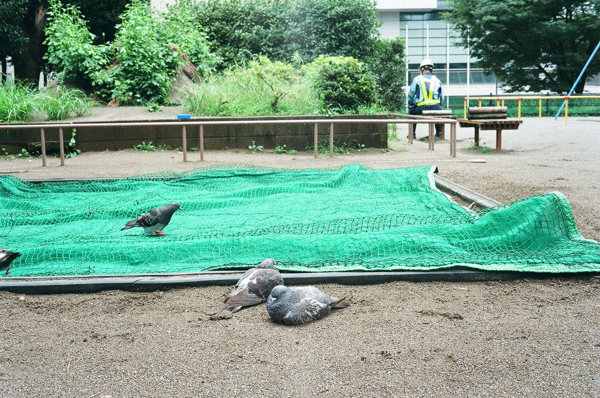 _nk_516's tweet image. Bunkyo-ku, Tokyo  2020
#Rollei35