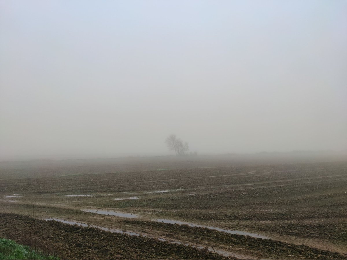 L'esperit de la boira rebrota sempre i sobreviu als seus il.lusos enterradors🤔😍 
📷La Boira Turística de Ponent
<a href="/xcollgi/">Xavier Coll</a> @eltempsTV3