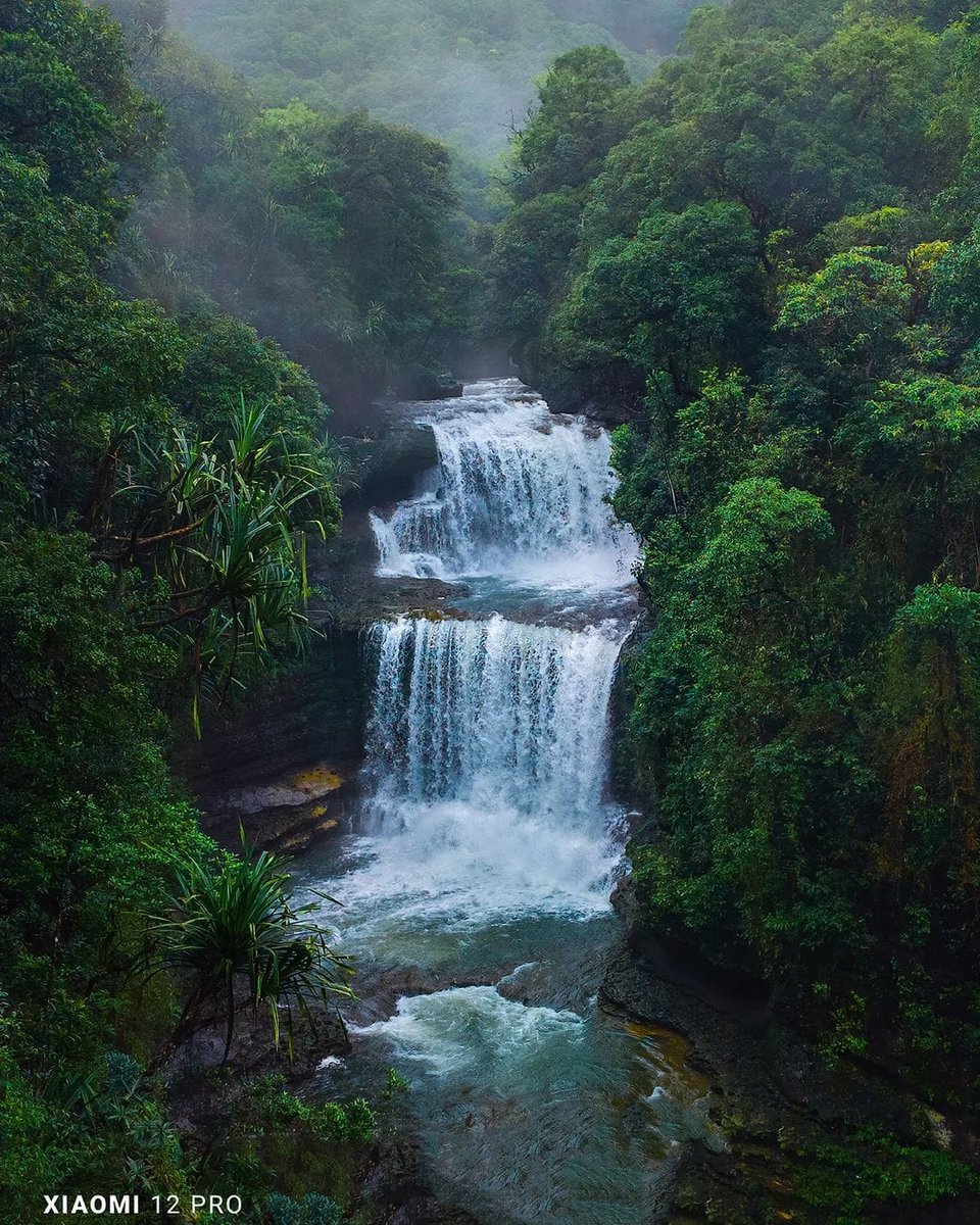 nature_2019's tweet photo. https://t.co/JVA7PqTwgm