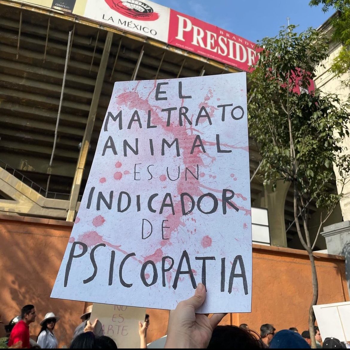 👇🏼👇🏼👇🏼👇🏼👇🏼👇🏼