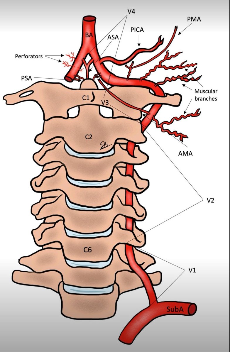 Neurosurgery Cocktail (@BipinChaurasia_) on Twitter photo 2024-01-31 03:25:58