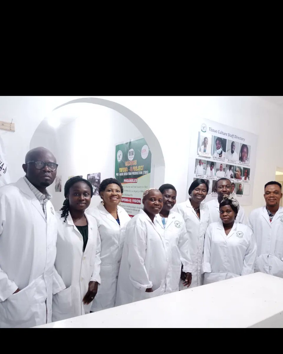 NACGRAB (NBRDA) Tissue Culture Unit (@nacgrab_tc_lab) on Twitter photo Research for Impact.
<a href="/NACGRAB_TC_Lab/">NACGRAB (NBRDA) Tissue Culture Unit</a> tackles yam cultivation bottlenecks using conventional tissue culture in the @PROSSIVA_IITA project.
<a href="/AmahDelphine/">Delphine Amah</a> <a href="/TemiAdegoroye/">Temi</a> <a href="/IITA_CGIAR/">IITA</a> Research for Impact.
<a href="/NACGRAB_TC_Lab/">NACGRAB (NBRDA) Tissue Culture Unit</a> tackles yam cultivation bottlenecks using conventional tissue culture in the @PROSSIVA_IITA project.
<a href="/AmahDelphine/">Delphine Amah</a> <a href="/TemiAdegoroye/">Temi</a> <a href="/IITA_CGIAR/">IITA</a>
