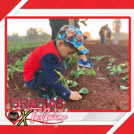 Rayco2023qba's tweet photo. Gracias por tu ejemplo de sacrificio, que demuestra y hasta enseña desde muy pequeño a amar la patria
GraciasXTuGuía
#DeZurdaTeam
#IzquierdaPinera
#CorazonRojo
#IzquierdaLatina https://t.co/wECs71pWYS