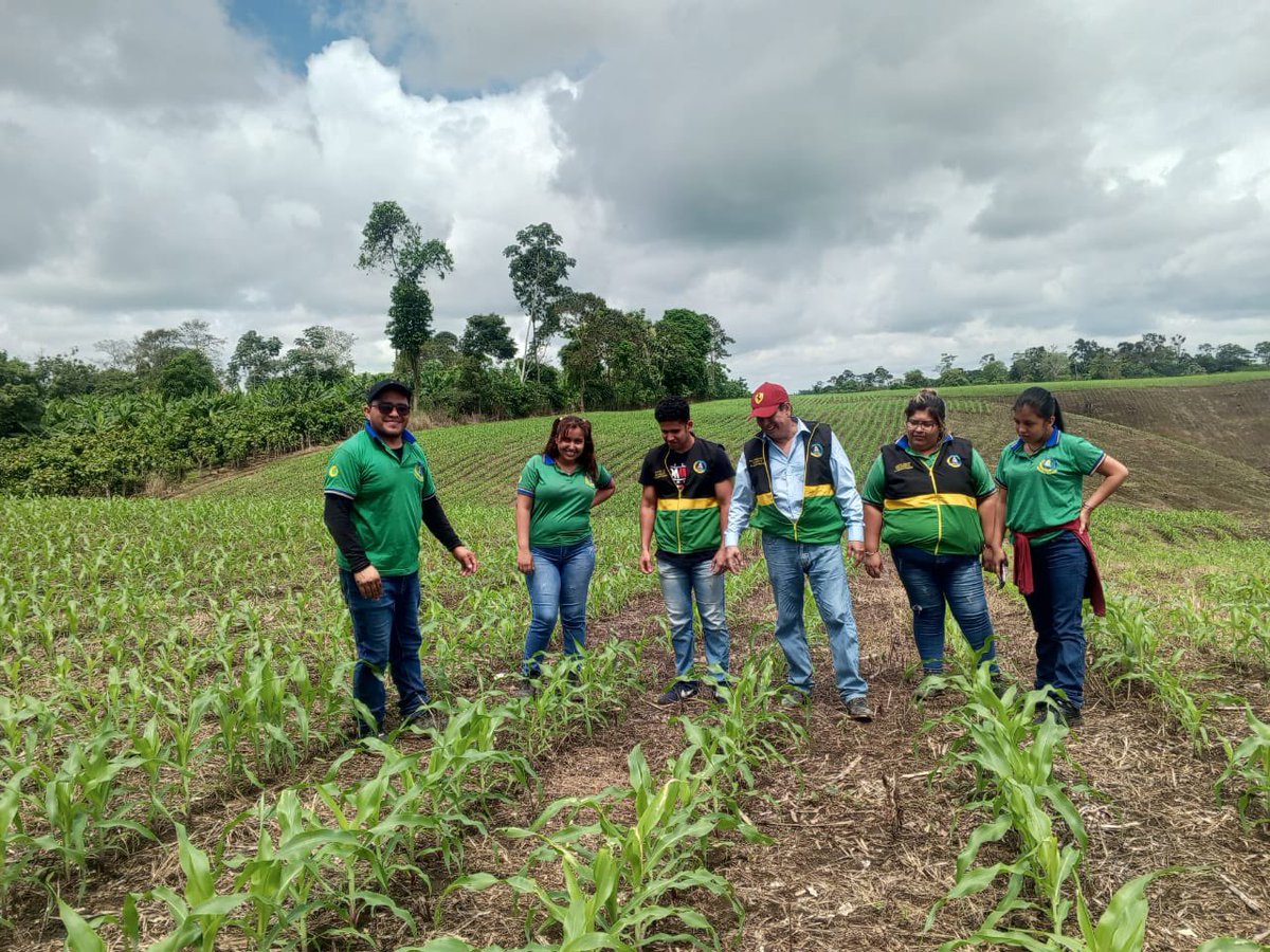 ISTPEM1's tweet photo. Estudiantes y docentes del #Istpem efectuaron la visita técnica a la finca agrícola autosuficiente Giler Pazmiño en el cantón Pichincha, provincia de Manabí. La finalidad de la actividad fue de identificar el manejo técnico de cultivos de ciclos cortos y peremnes.
#CrecemosJuntos https://t.co/iwybAKU59e