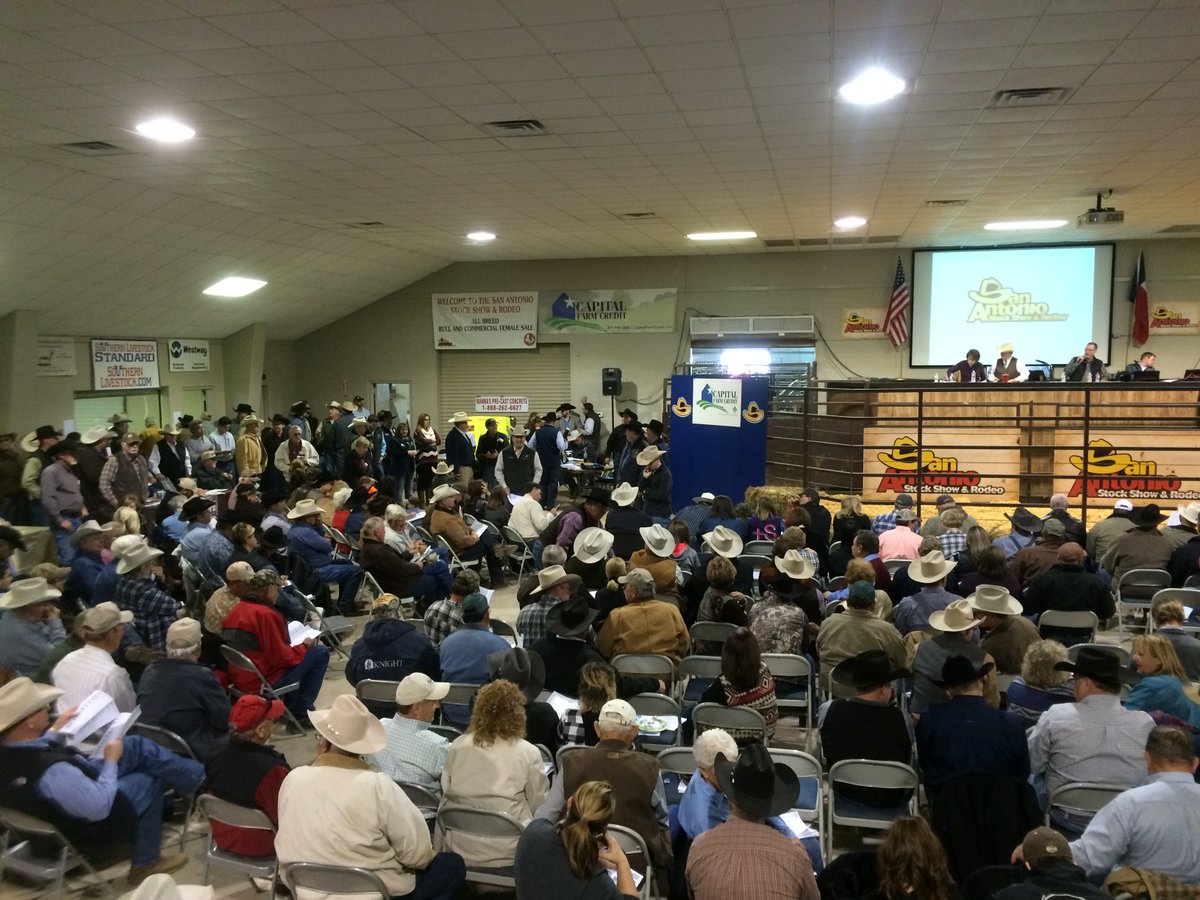 Looking forward to seeing everyone at the San Antonio Livestock Show's All Breeds Sale 2024!  southernlivestock.com/wp-content/upl…