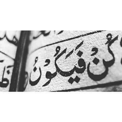 Muhamma07008131's tweet photo. جب وہ کن فرماتا ہے ، تُو معجزے ہوتے ہیں 
اور تقدیریں بدل جاتی ہیں۔۔۔!!! ✨♥️👑Good mornings Friends https://t.co/zLegPTj9OF