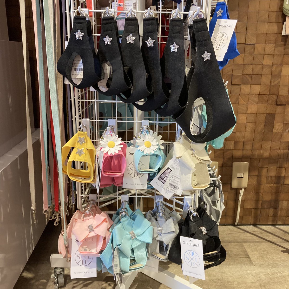 Iglow_dog's tweet photo. ロックスターの星柄のタイプや、マジックテープのタイプもあります！

#わんちゃんと入れる
#犬服屋
#犬用ハー���ス
#ワンチャンハーネス https://t.co/Fh31Oy81wV