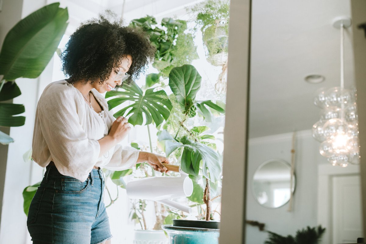 G2GMinistries's tweet photo. The Top 7 Health Benefits Of Houseplants https://t.co/bCPpiHq0tI https://t.co/O4ySxjNYZs