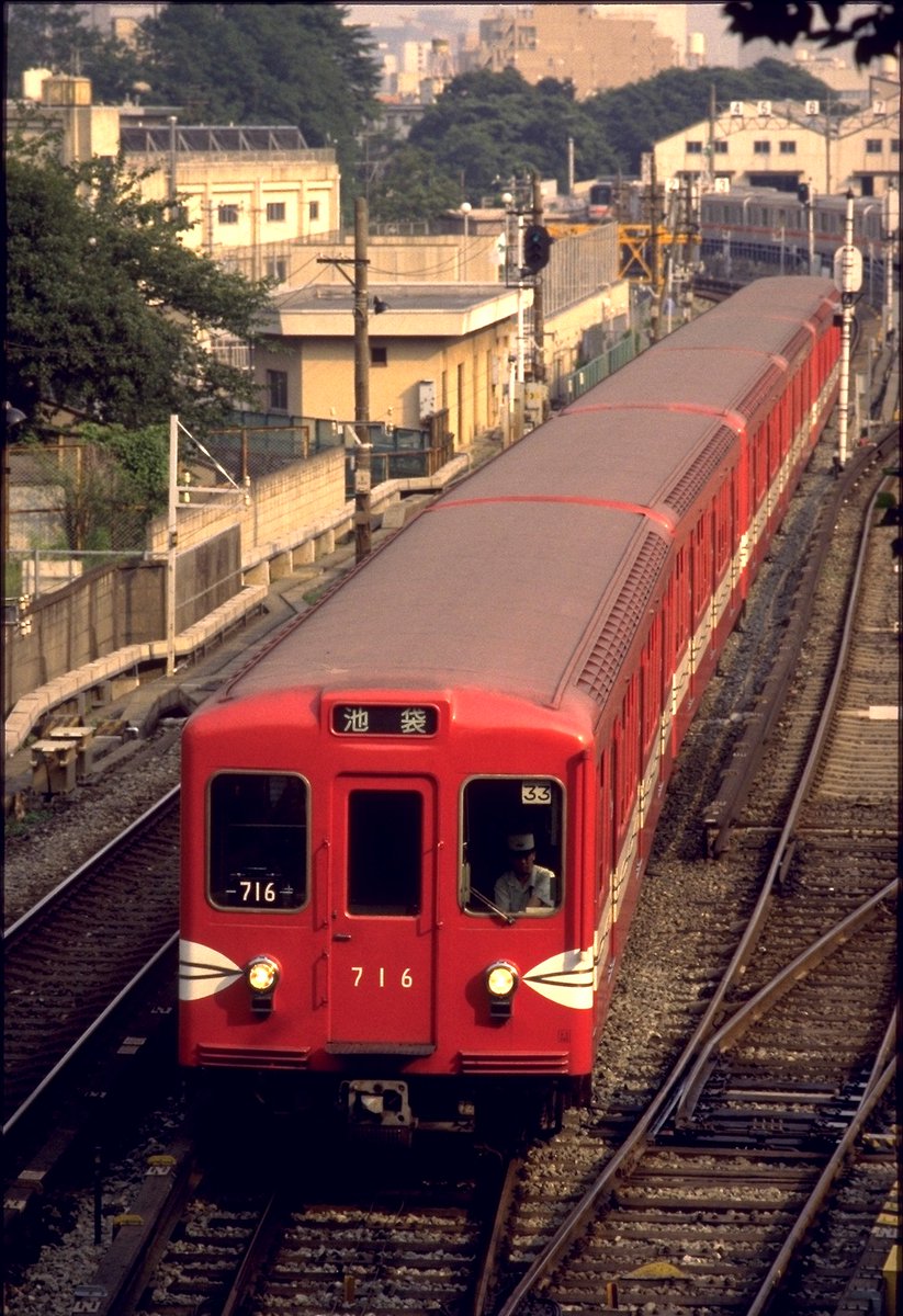 咲夜 はたて🇯🇵🇦🇷 tweet media