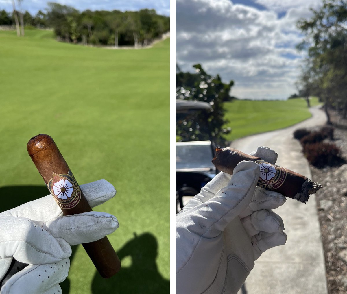RichMeene's tweet photo. Hey @michaeljknowles, I got to enjoy the first of my Mayflower cigars today. Incredibly impressed! Great, smooth, deep smoke- burned slow and even. Lasted me 7 holes.  Definitely a premium cigar- Thanks! https://t.co/42nekqEar7