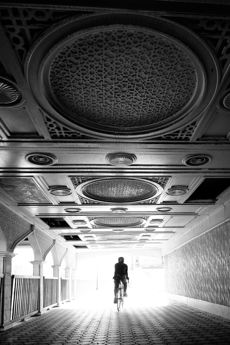 GM

Into the Unknown 
7/10 editions
0.35 $SOL