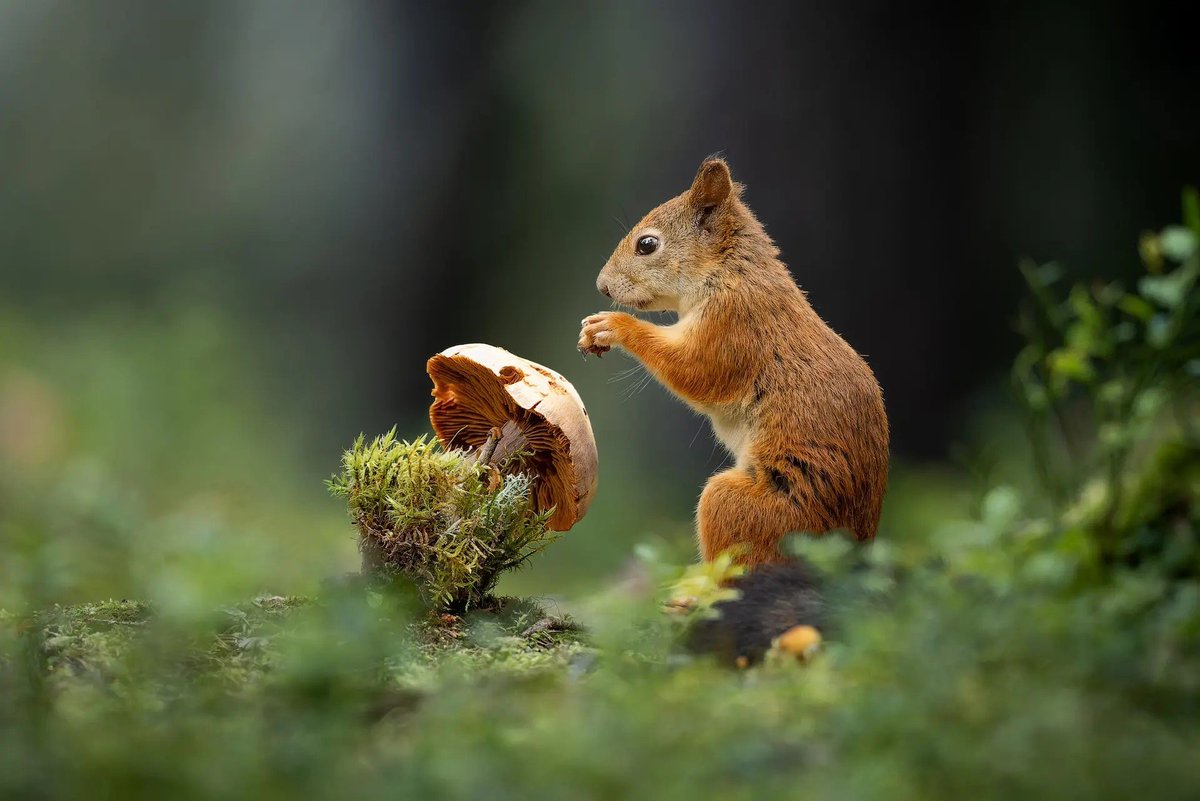 в акациях, солнечный город tweet media