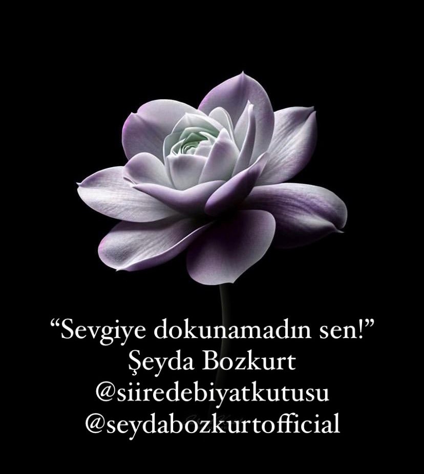 #Hayırlı sabahlar 🩷

#güzelşeylerkalptengelir 🖋️📓🌸

#şiir
#edebiyat
#şair 
#ocak 
#aşk 
#askbaz 
#kitapkulübü 
#felsefekulübü 
#siiredebiyatkutusu
#şeydabozkurt 
@paranayayinlari
@kitapbaz