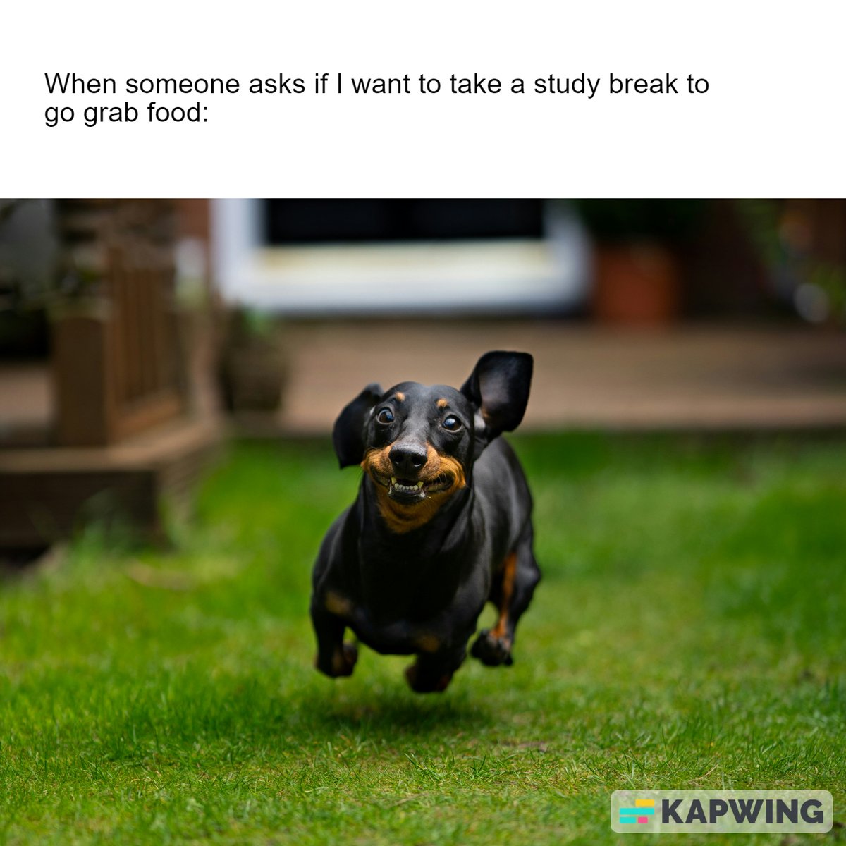 SarahKent_9's tweet photo. Thinking about a study break right now... 
#studyincentive #student https://t.co/ca5sBysj12