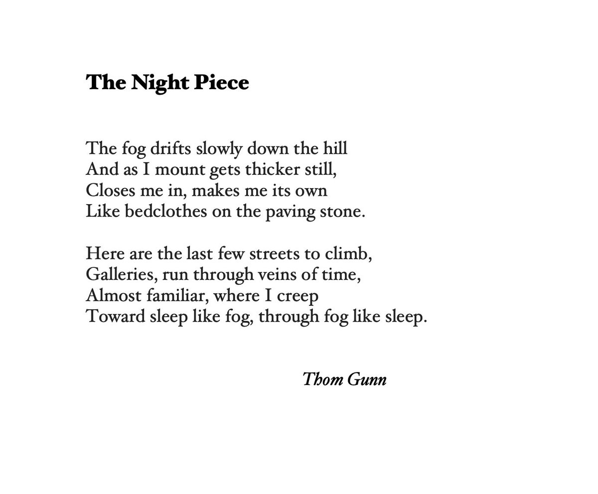 Alina Stefanescu tweet media