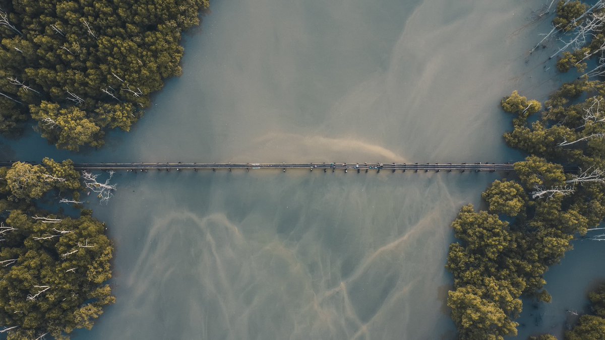 🌿N A T U R E  M I R A G E 🌿

"Take a look at the beautiful Nature Mirage—a scene where reality and illusion blend together so smoothly." 

Limited Edition live on <a href="/exchgART/">Exchange Art</a> 

Edition : 20/20
Buy Price - 0.25 $Sol